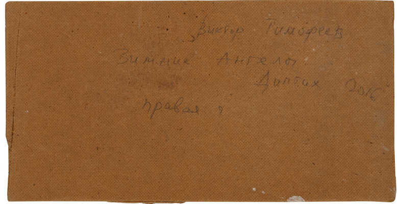 Тимофеев Виктор Евгеньевич. Зимние ангелы. Диптих